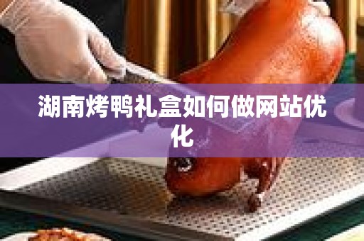 湖南烤鸭礼盒如何做网站优化