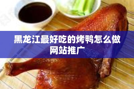 黑龙江最好吃的烤鸭怎么做网站推广