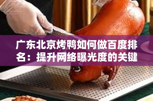 广东北京烤鸭如何做百度排名：提升网络曝光度的关键策略