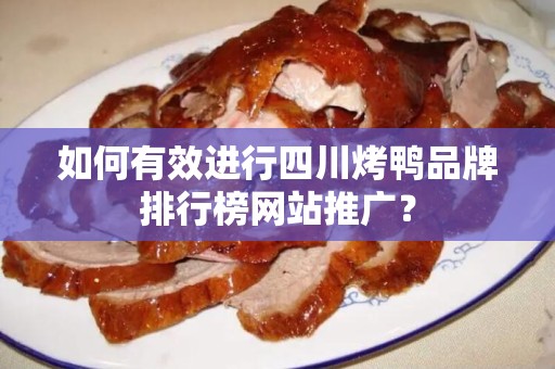 如何有效进行四川烤鸭品牌排行榜网站推广？