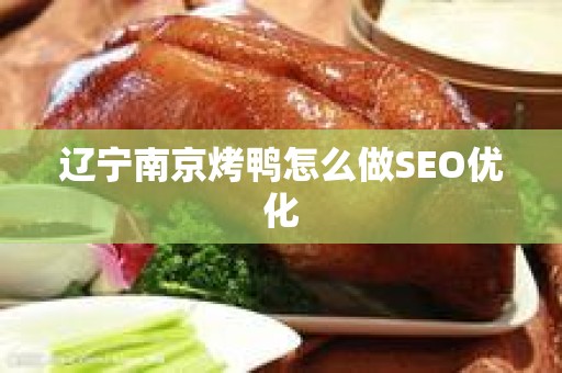 辽宁南京烤鸭怎么做SEO优化