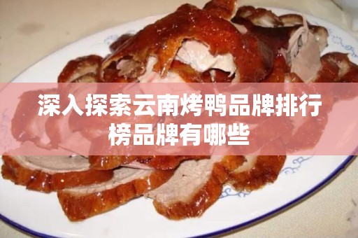 深入探索云南烤鸭品牌排行榜品牌有哪些