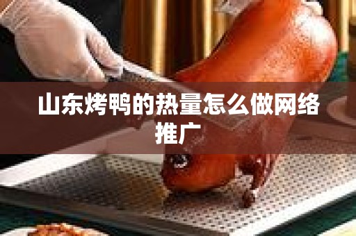 山东烤鸭的热量怎么做网络推广