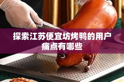探索江苏便宜坊烤鸭的用户痛点有哪些