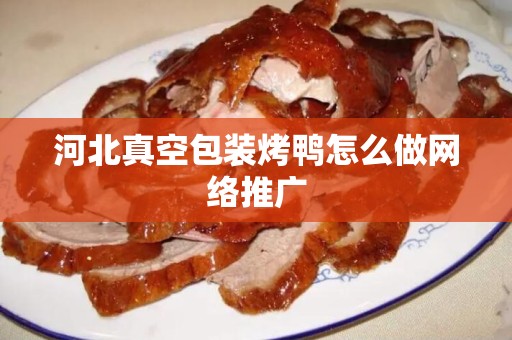 河北真空包装烤鸭怎么做网络推广