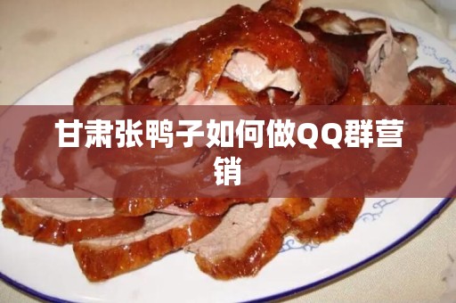 甘肃张鸭子如何做QQ群营销