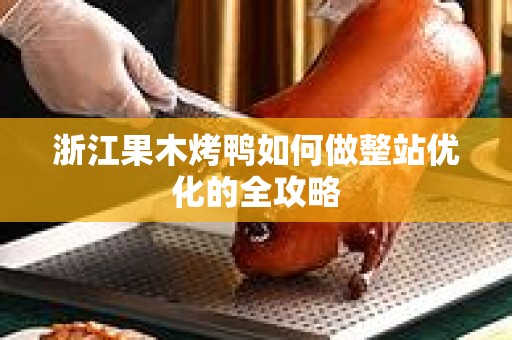浙江果木烤鸭如何做整站优化的全攻略