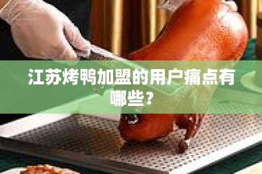 江苏烤鸭加盟的用户痛点有哪些？