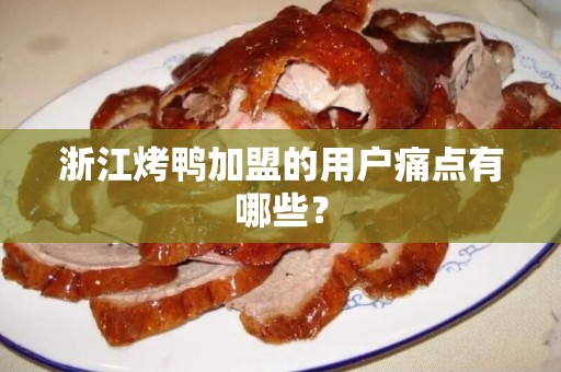 浙江烤鸭加盟的用户痛点有哪些？