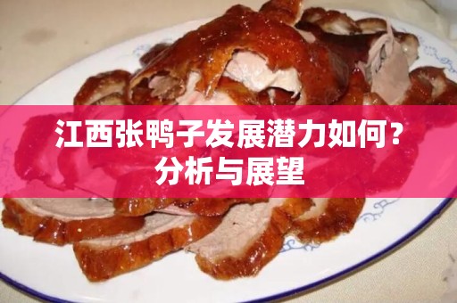 江西张鸭子发展潜力如何？分析与展望