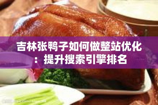 吉林张鸭子如何做整站优化：提升搜索引擎排名