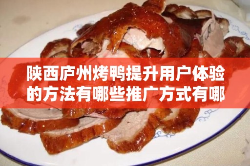陕西庐州烤鸭提升用户体验的方法有哪些推广方式有哪些