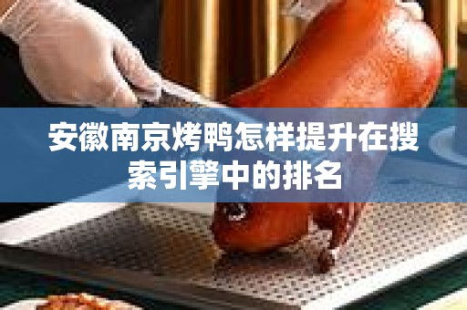 安徽南京烤鸭怎样提升在搜索引擎中的排名