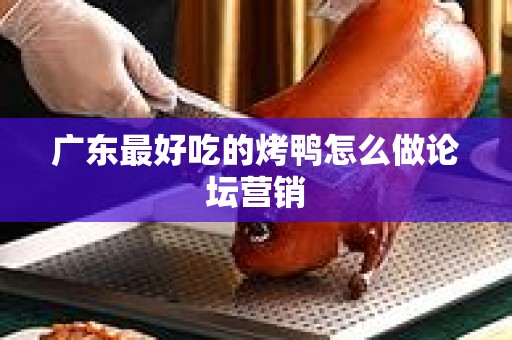 广东最好吃的烤鸭怎么做论坛营销