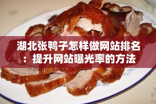 湖北张鸭子怎样做网站排名：提升网站曝光率的方法