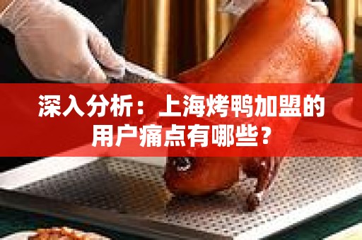 深入分析：上海烤鸭加盟的用户痛点有哪些？
