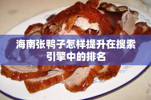 海南张鸭子怎样提升在搜索引擎中的排名