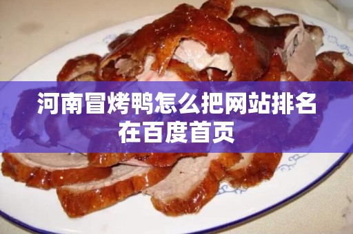 河南冒烤鸭怎么把网站排名在百度首页