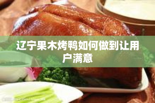 辽宁果木烤鸭如何做到让用户满意