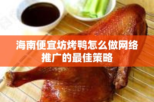 海南便宜坊烤鸭怎么做网络推广的最佳策略