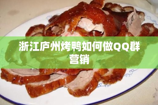 浙江庐州烤鸭如何做QQ群营销