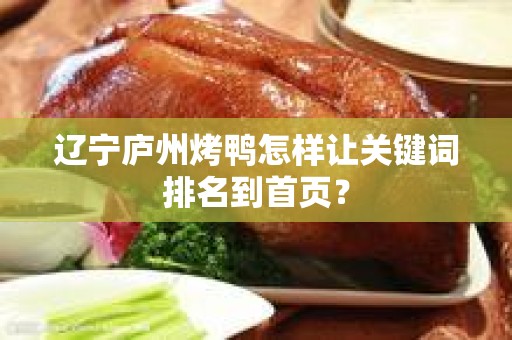 辽宁庐州烤鸭怎样让关键词排名到首页？