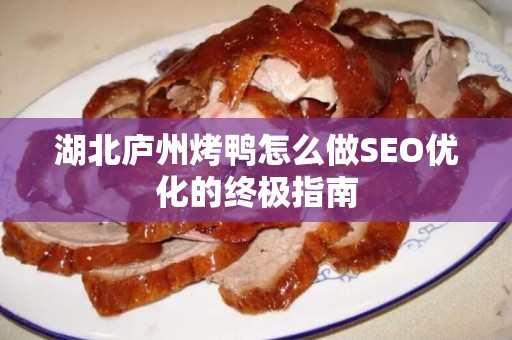 湖北庐州烤鸭怎么做SEO优化的终极指南