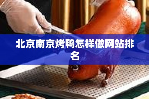 北京南京烤鸭怎样做网站排名