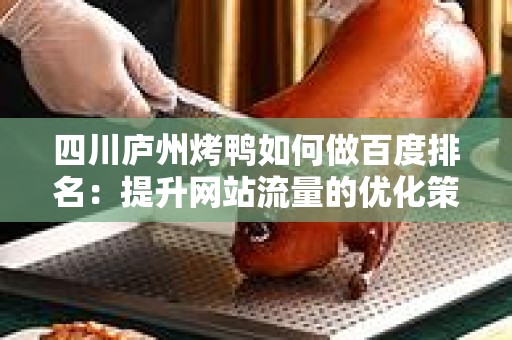 四川庐州烤鸭如何做百度排名：提升网站流量的优化策略