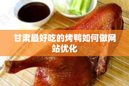 甘肃最好吃的烤鸭如何做网站优化