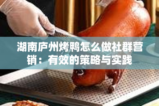 湖南庐州烤鸭怎么做社群营销：有效的策略与实践