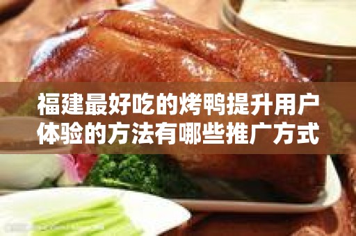 福建最好吃的烤鸭提升用户体验的方法有哪些推广方式有哪些