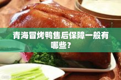 青海冒烤鸭售后保障一般有哪些？