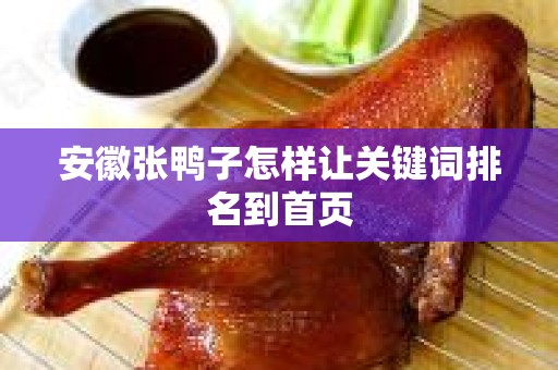 安徽张鸭子怎样让关键词排名到首页