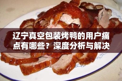 辽宁真空包装烤鸭的用户痛点有哪些？深度分析与解决方案