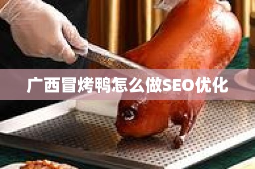 广西冒烤鸭怎么做SEO优化