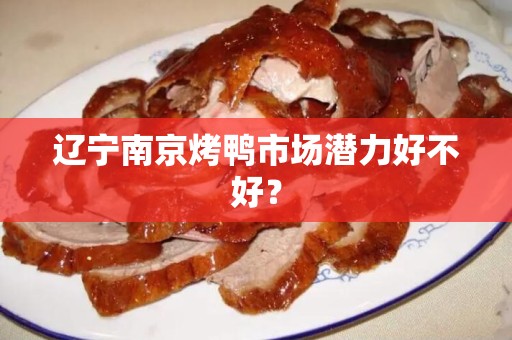 辽宁南京烤鸭市场潜力好不好？