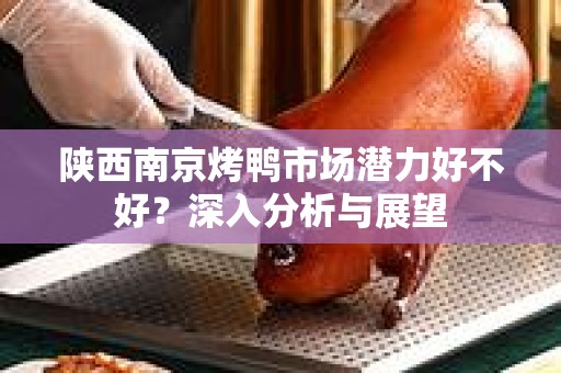 陕西南京烤鸭市场潜力好不好？深入分析与展望