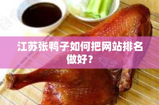 江苏张鸭子如何把网站排名做好？