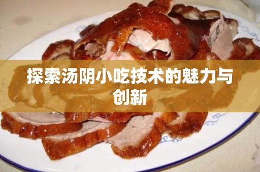 探索汤阴小吃技术的魅力与创新