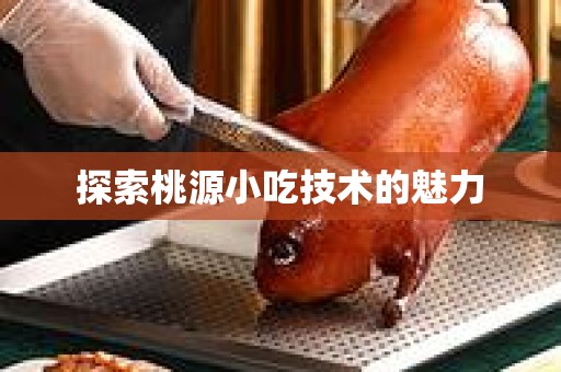 探索桃源小吃技术的魅力