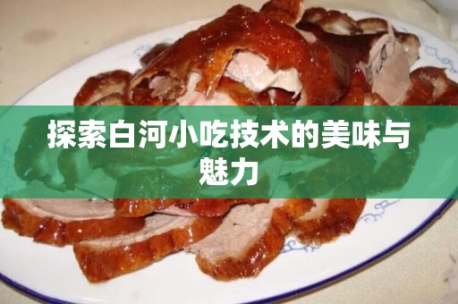 探索白河小吃技术的美味与魅力