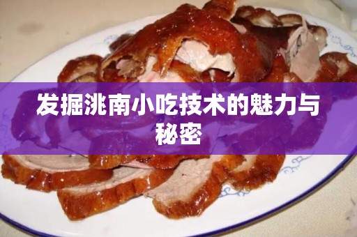 发掘洮南小吃技术的魅力与秘密