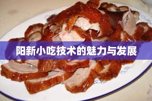 阳新小吃技术的魅力与发展