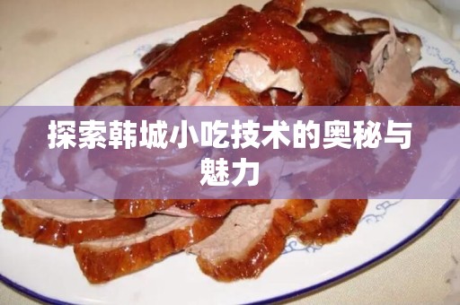 探索韩城小吃技术的奥秘与魅力