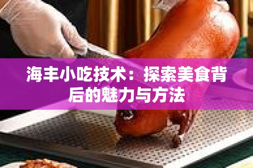 海丰小吃技术：探索美食背后的魅力与方法