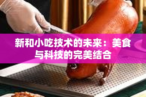 新和小吃技术的未来：美食与科技的完美结合