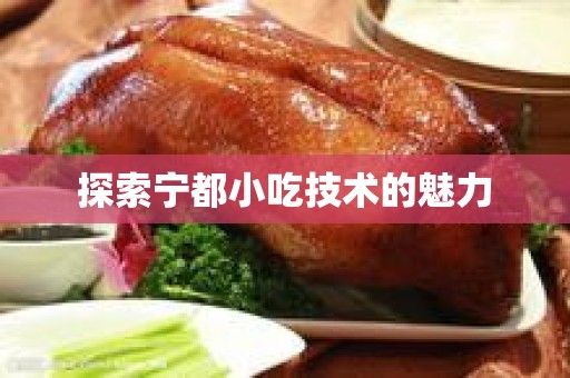探索宁都小吃技术的魅力