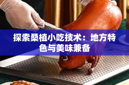 探索桑植小吃技术：地方特色与美味兼备