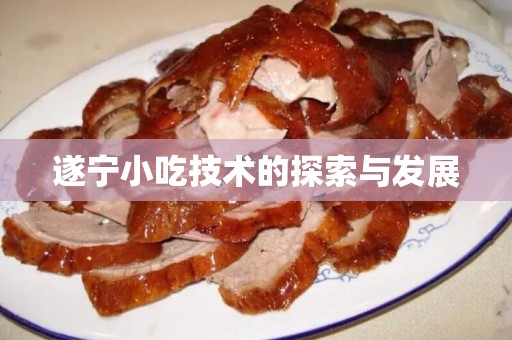 遂宁小吃技术的探索与发展